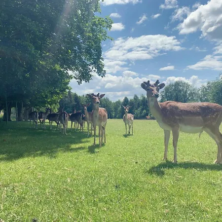 Homemade Lägenhet Liebshausen