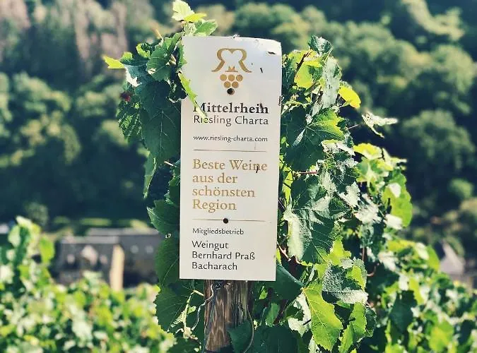 アパート Homemade Liebshausen